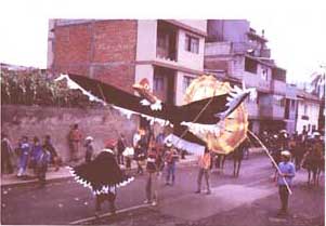 condor parade