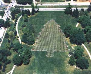 Aerial photo of Phantom Forest Environmental Sculpture